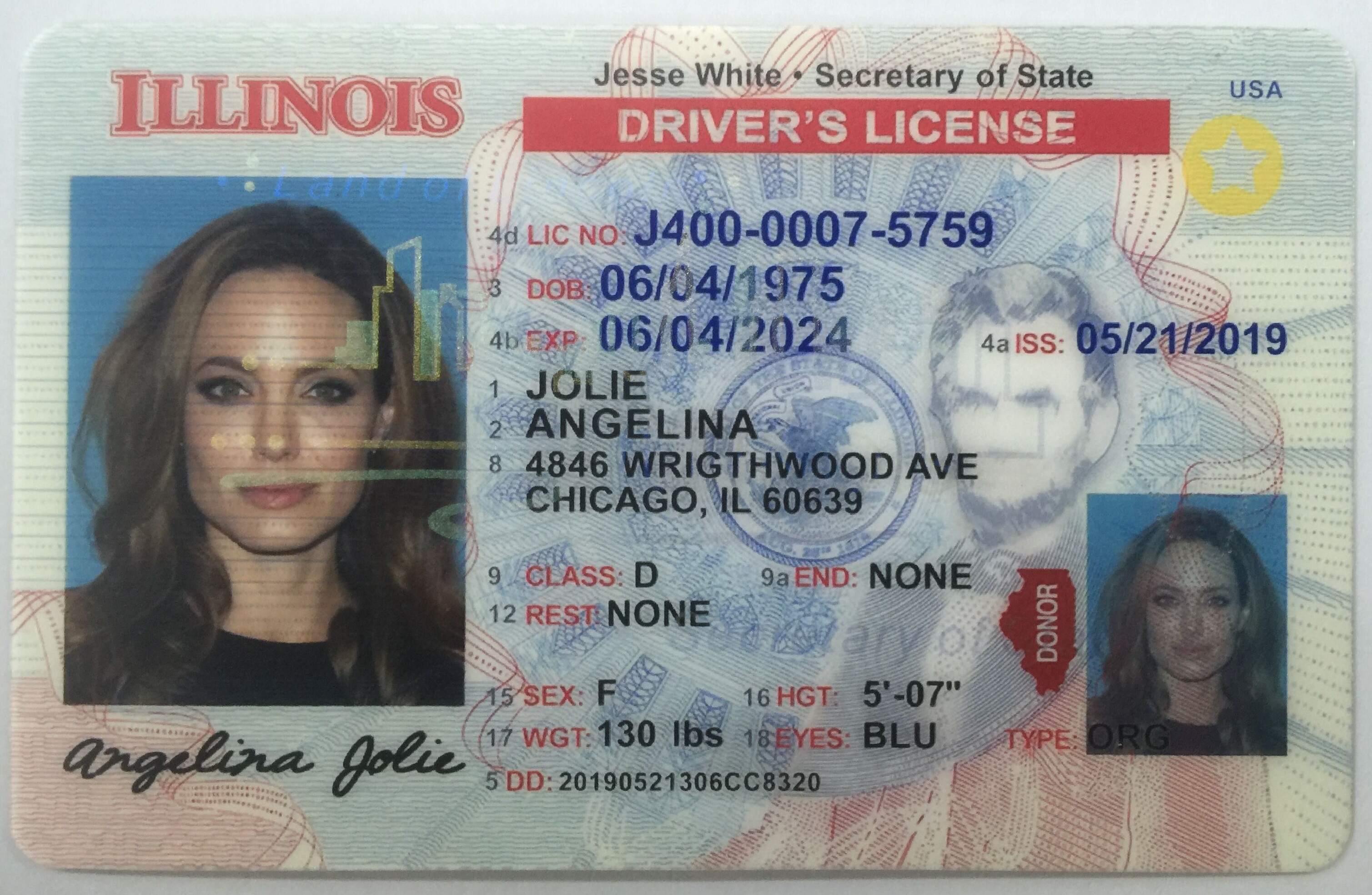 Fake Driving License - illinois